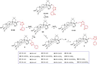 Frontiers | Synthesis and evaluation of anticancer activity of 
